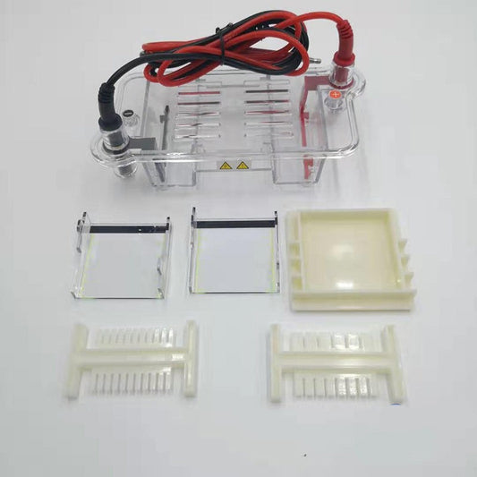 Horizontal Electrophoresis System