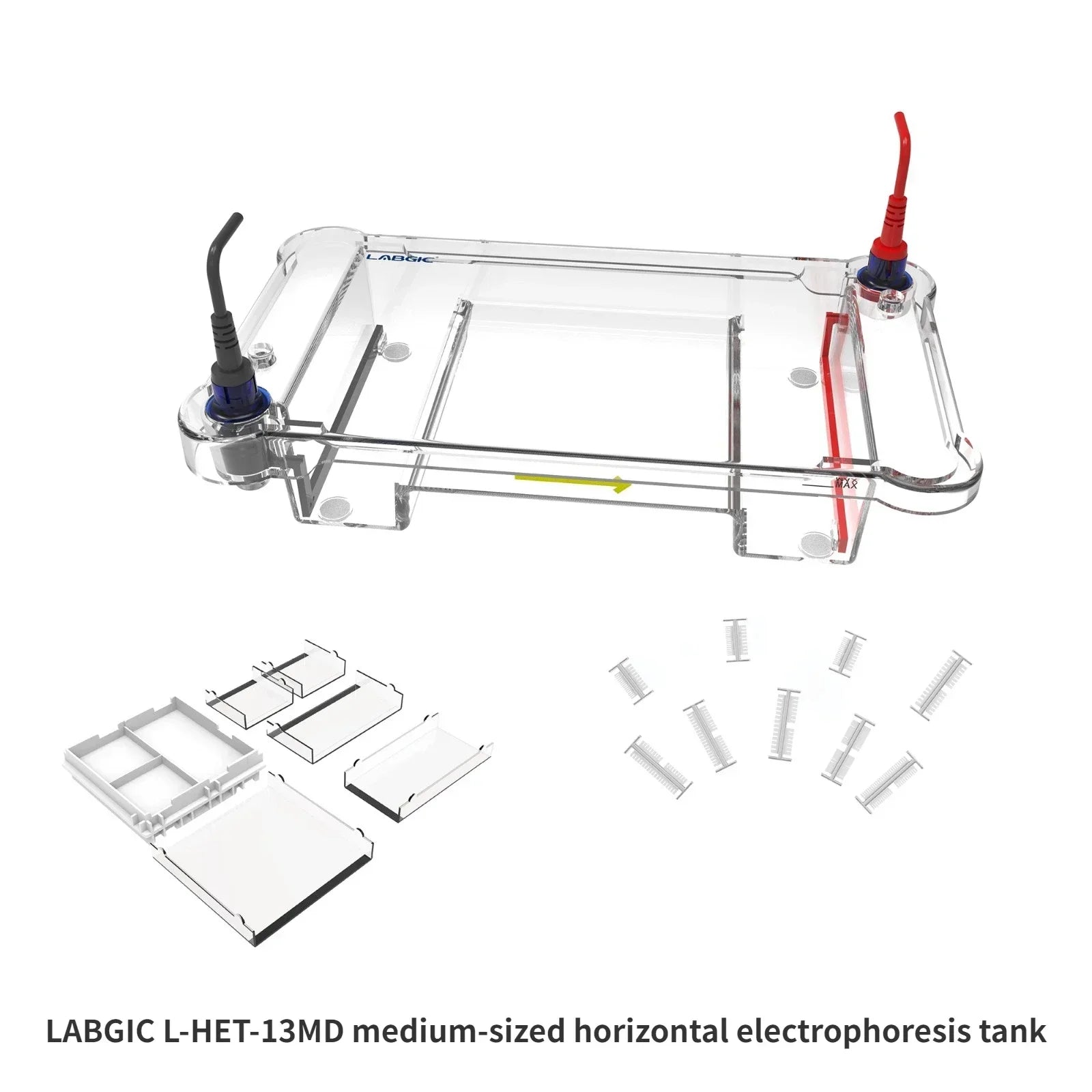 Mini/Mid-Size Horizontal Electrophoresis Tank for Rapid Agarose Gel Separation Electrophoresis of DNA and RNA Samples