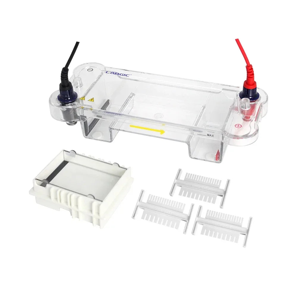 Mini/Mid-Size Horizontal Electrophoresis Tank for Rapid Agarose Gel Separation Electrophoresis of DNA and RNA Samples