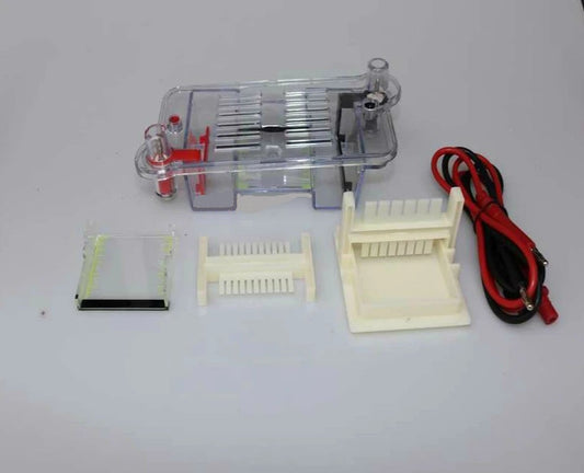 Horizontal Electrophoresis Tank Agarose Electrophoresis Tank Biological Instrument Molecular Separation Teaching Instrument