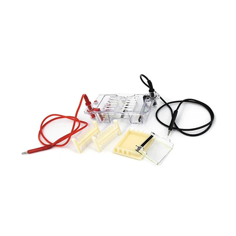 Horizontal Electrophoresis Instrument Is Suitable for Separating, Preparing DNA, and Determining Molecular Weight