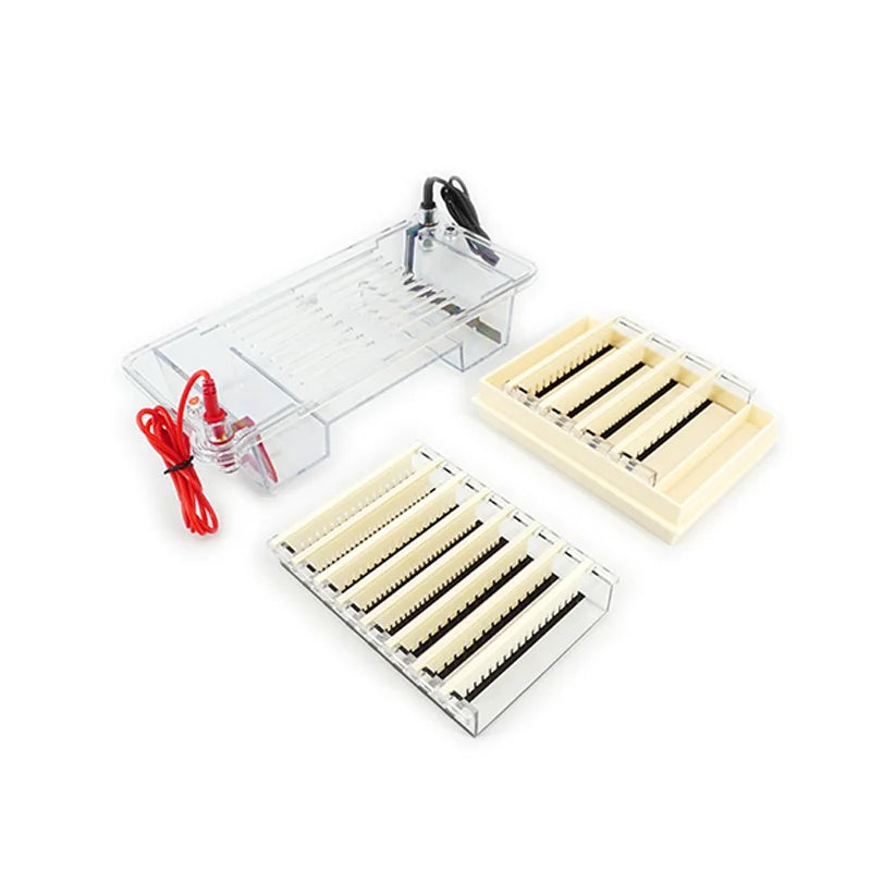 Horizontal Electrophoresis Instrument Is Suitable for Separating, Preparing DNA, and Determining Molecular Weight